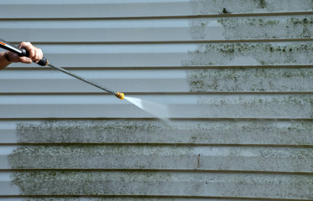 Best Solar Panel Cleaning  in Villisca, IA